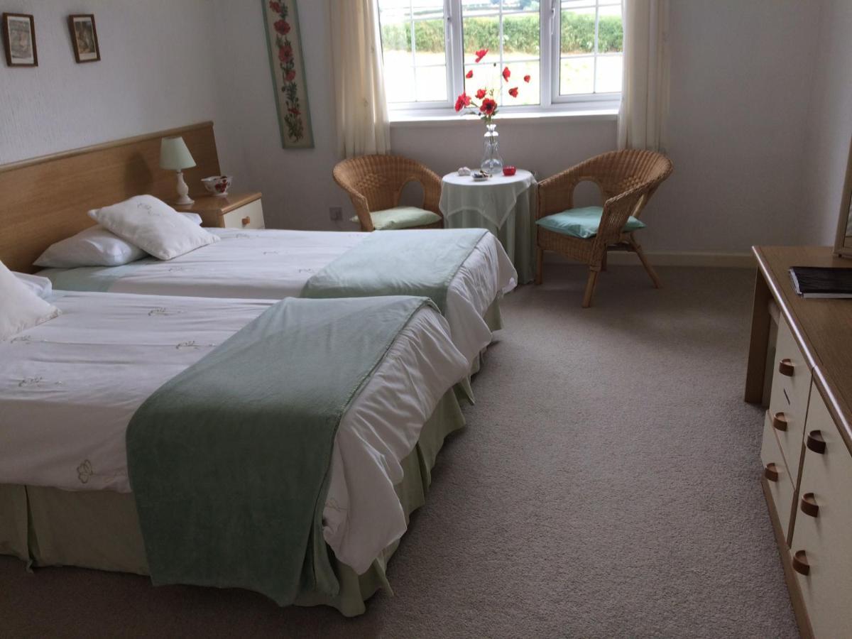 The Grange Accommodation, Waye Farm, Ermington, Devon Holbeton Exterior foto